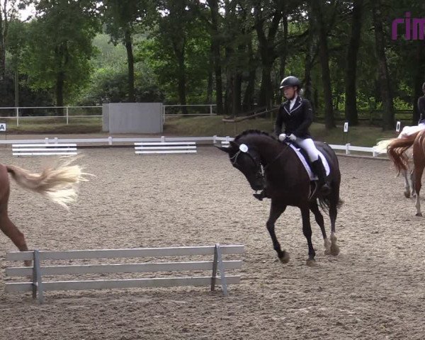 Reitturnier Heiden 2020