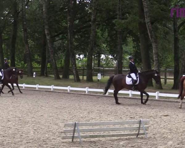 Reitturnier Heiden 2020