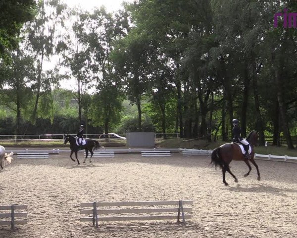 Reitturnier Heiden 2020