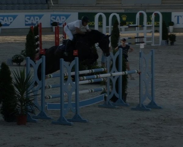 Reitturnier Aachen 2020