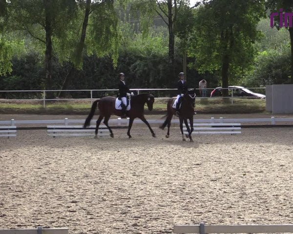 Reitturnier Heiden 2020