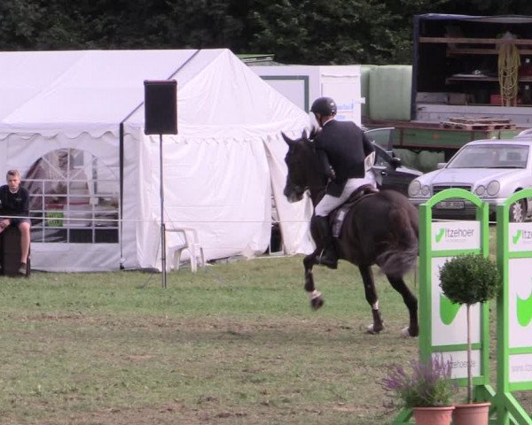 Reitturnier Hanerau-Hademarschen 2020