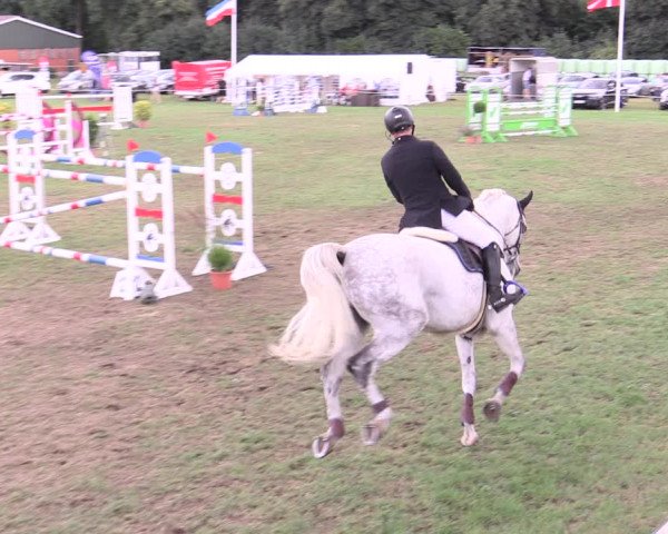 Reitturnier Hanerau-Hademarschen 2020