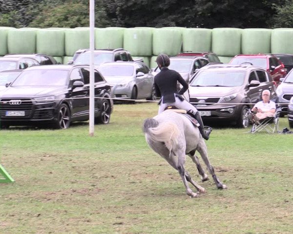 Reitturnier Hanerau-Hademarschen 2020