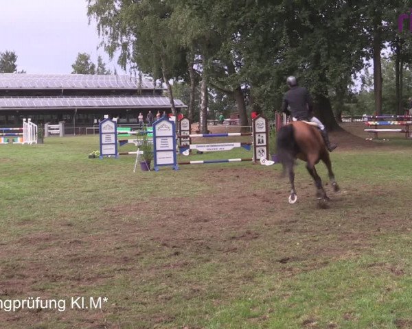 Reitturnier Heiden 2020