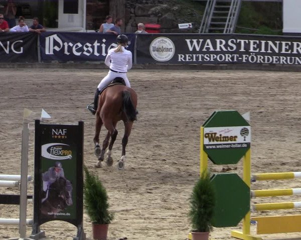 Reitturnier Siegen 2020