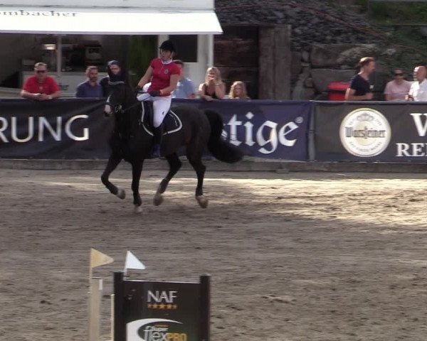 Reitturnier Siegen 2020