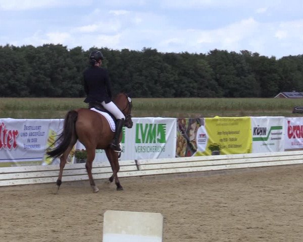 Reitturnier Ostbevern 2020
