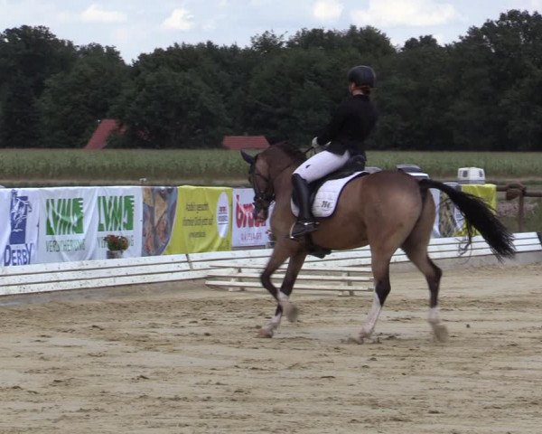 Reitturnier Ostbevern 2020