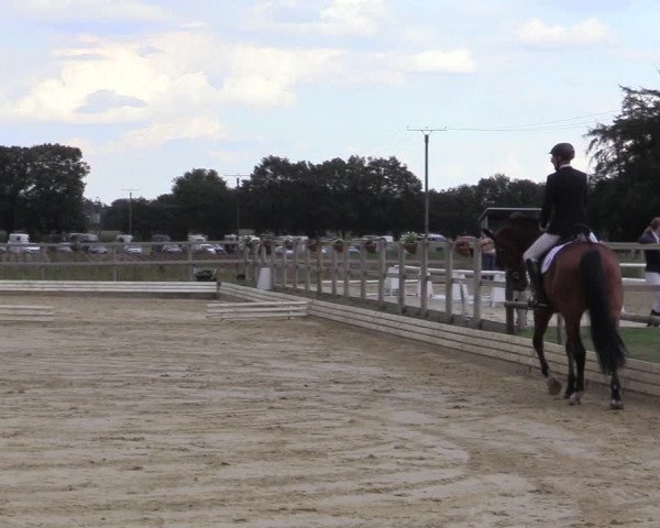 Reitturnier Ostbevern 2020