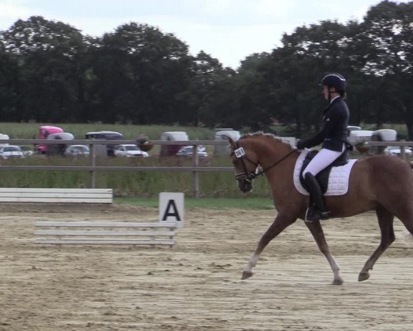Reitturnier Ostbevern 2020