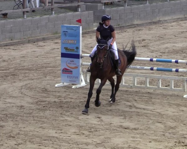 Reitturnier Siegen 2020