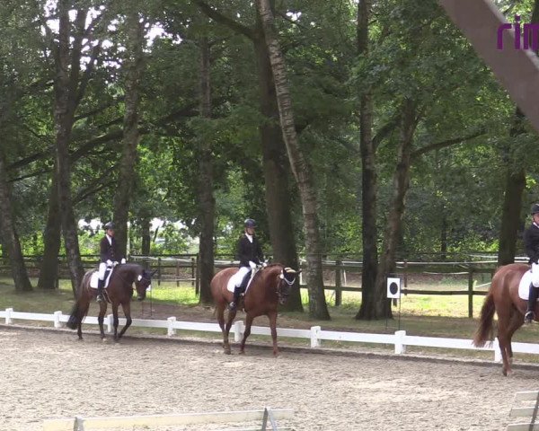 Reitturnier Heiden 2020