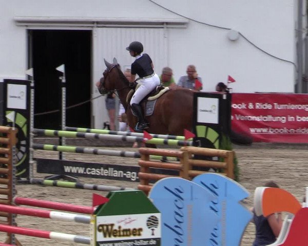 Reitturnier Siegen 2020