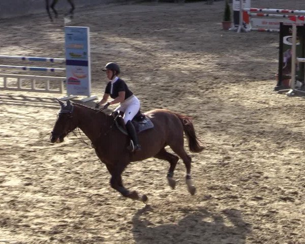 Reitturnier Siegen 2020