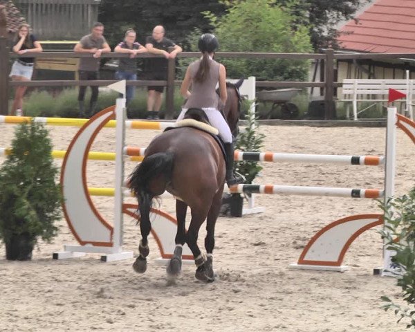 Reitturnier Bübinger Hof 2020