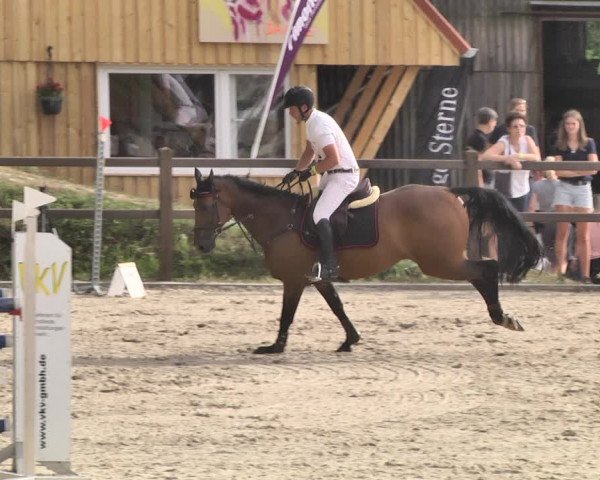 Reitturnier Bübinger Hof 2020