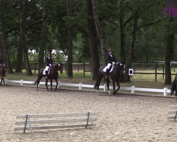 Reitturnier Heiden 2020