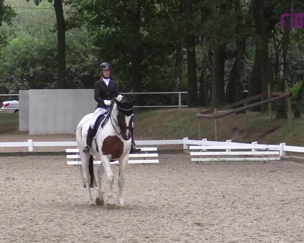 Reitturnier Heiden 2020