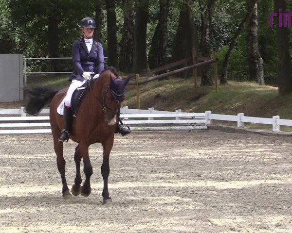 Reitturnier Heiden 2020