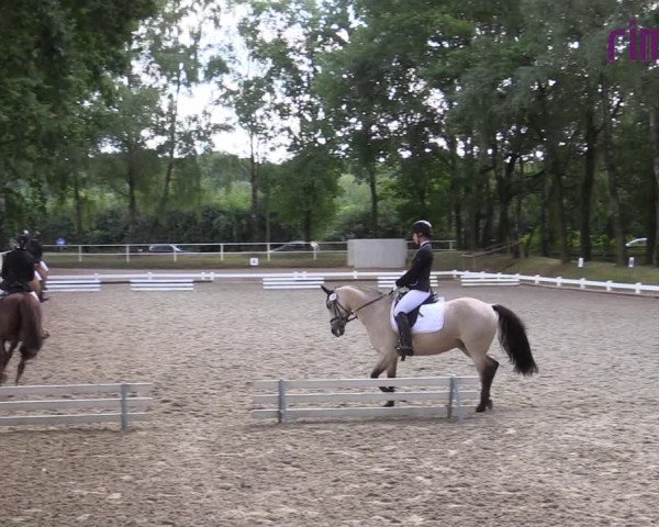 Reitturnier Heiden 2020