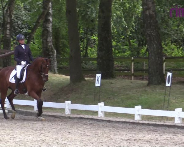 Reitturnier Heiden 2020