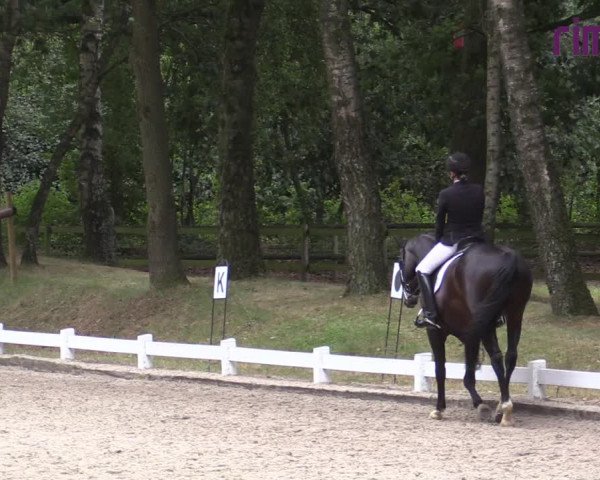 Reitturnier Heiden 2020