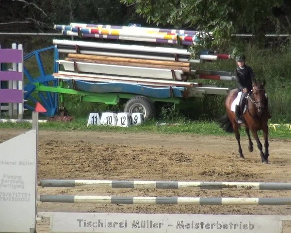 Reitturnier Viersen-Dülken 2020