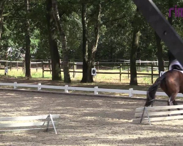 Reitturnier Heiden 2020