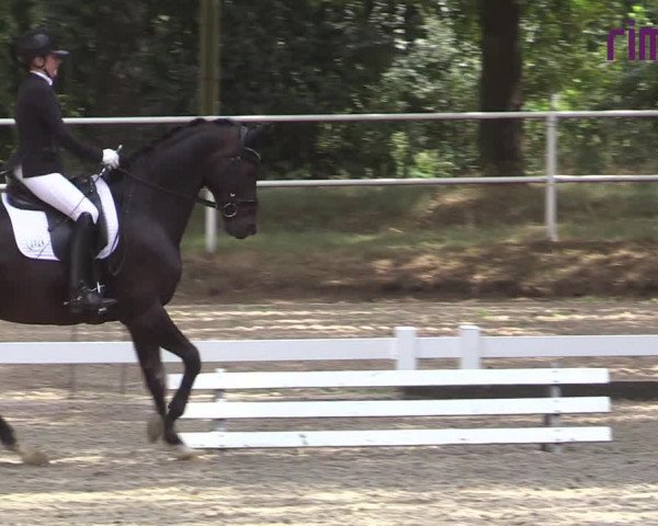 Reitturnier Heiden 2020