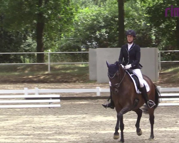 Reitturnier Heiden 2020