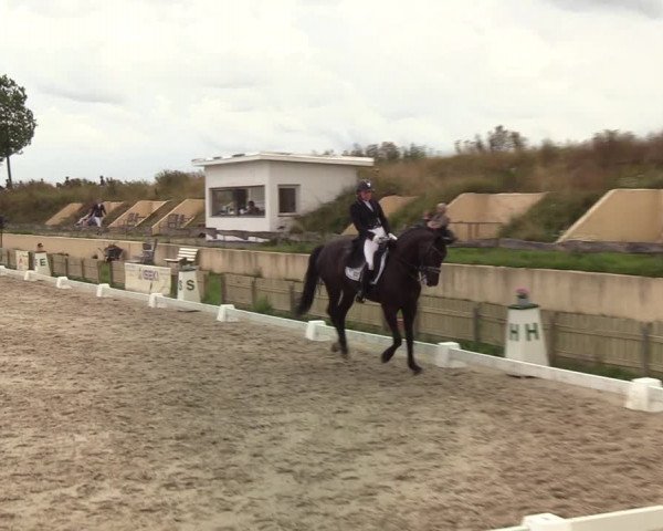 Reitturnier Schülp / Rendsburg 2020