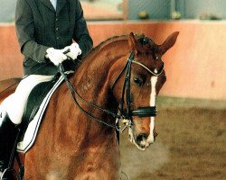 Dressurpferd Flavio 39 (Rheinländer, 2005, von Floribot)
