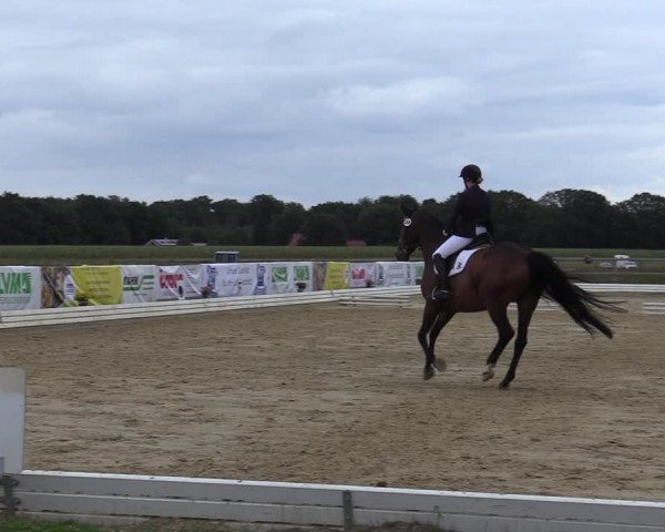 Reitturnier Ostbevern 2020