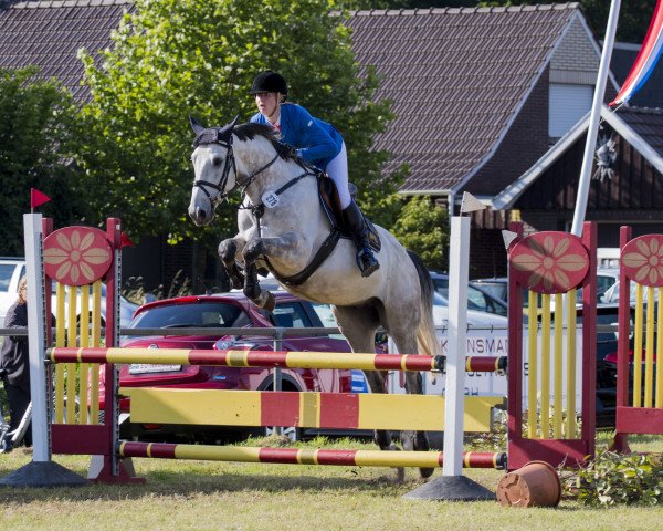jumper Lukkuriddari 2 (Hanoverian, 2006, from Landor S)