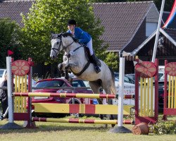 jumper Lukkuriddari 2 (Hanoverian, 2006, from Landor S)