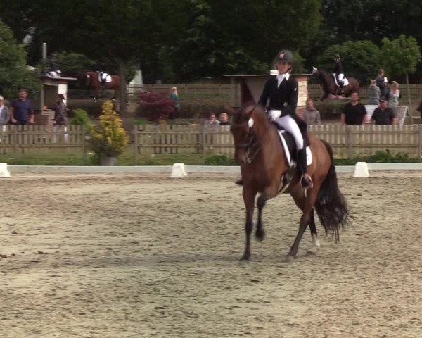 Reitturnier Schülp / Rendsburg 2020