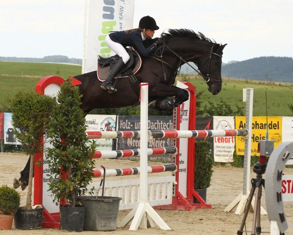 Springpferd Zara 119 (Oldenburger, 2010, von Zack)