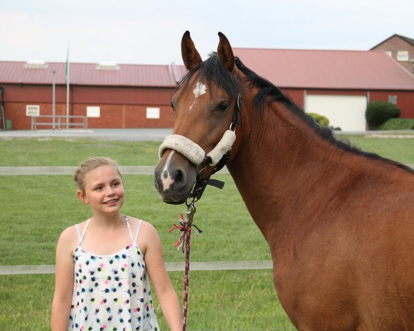 horse Kamina (German Riding Pony, 2013, from Komet O)