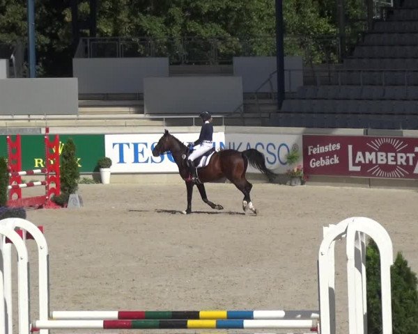 Reitturnier Aachen 2020