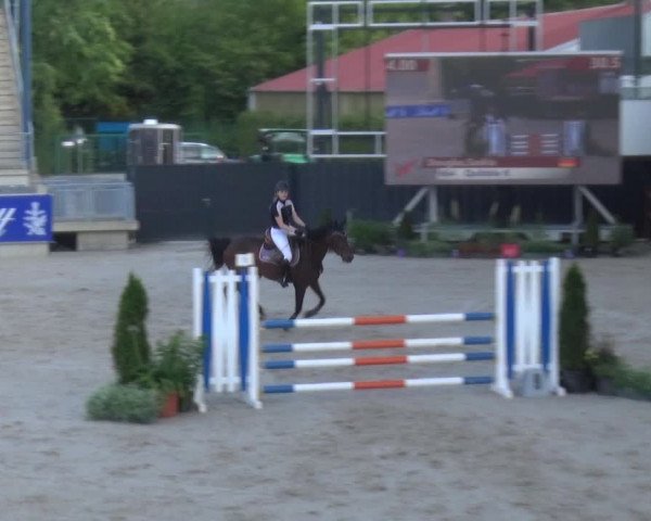 Reitturnier Aachen 2020