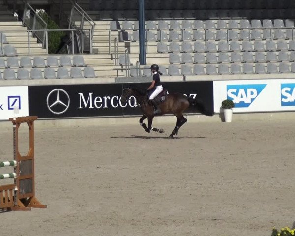 Reitturnier Aachen 2020