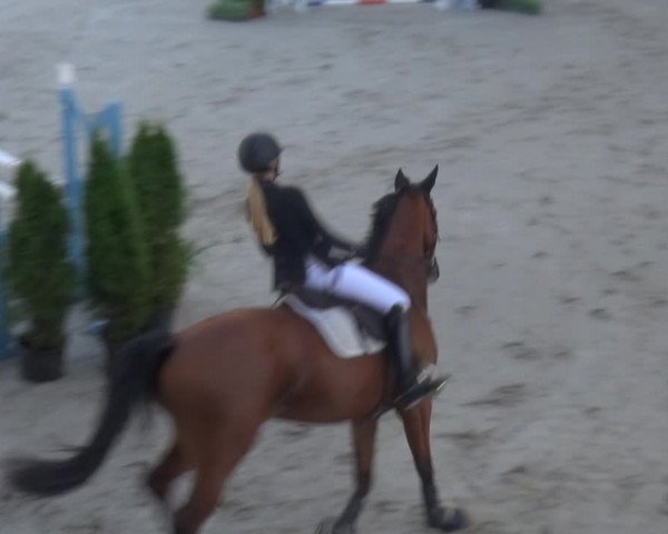Reitturnier Aachen 2020