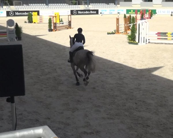 Reitturnier Aachen 2020