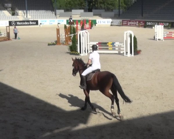 Reitturnier Aachen 2020