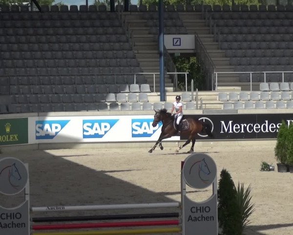Reitturnier Aachen 2020
