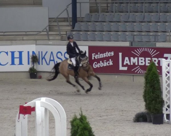 Reitturnier Aachen 2020