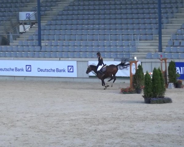 Reitturnier Aachen 2020