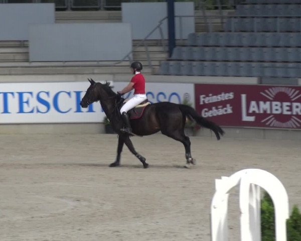 Reitturnier Aachen 2020