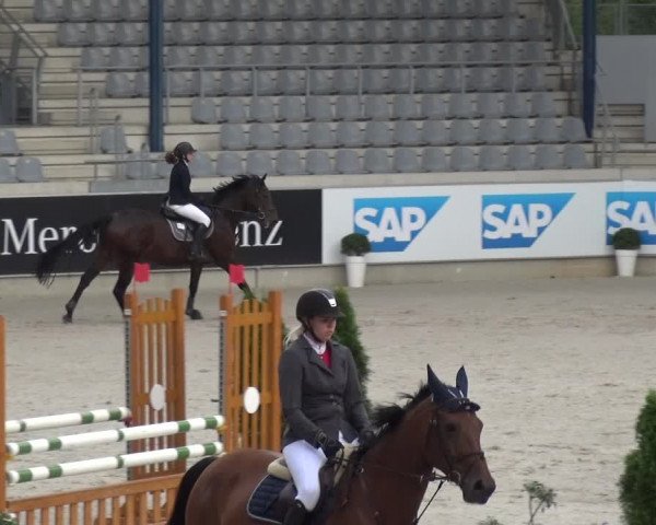 Reitturnier Aachen 2020